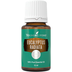 Eucalyptus Radiata 15 ml