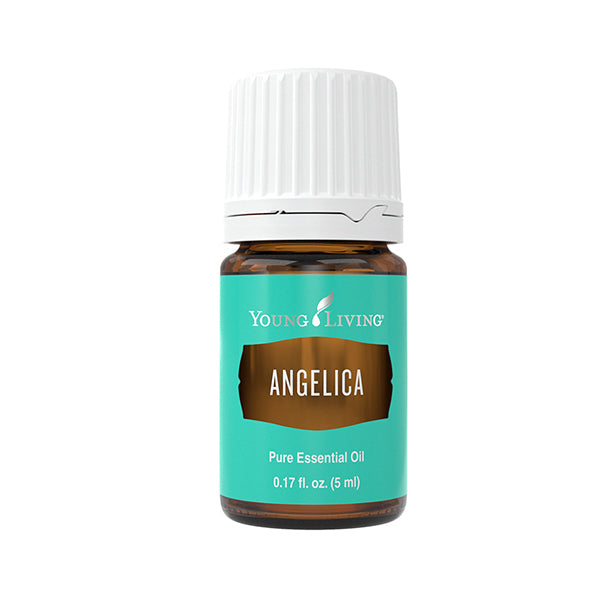 Angelica 5 ml